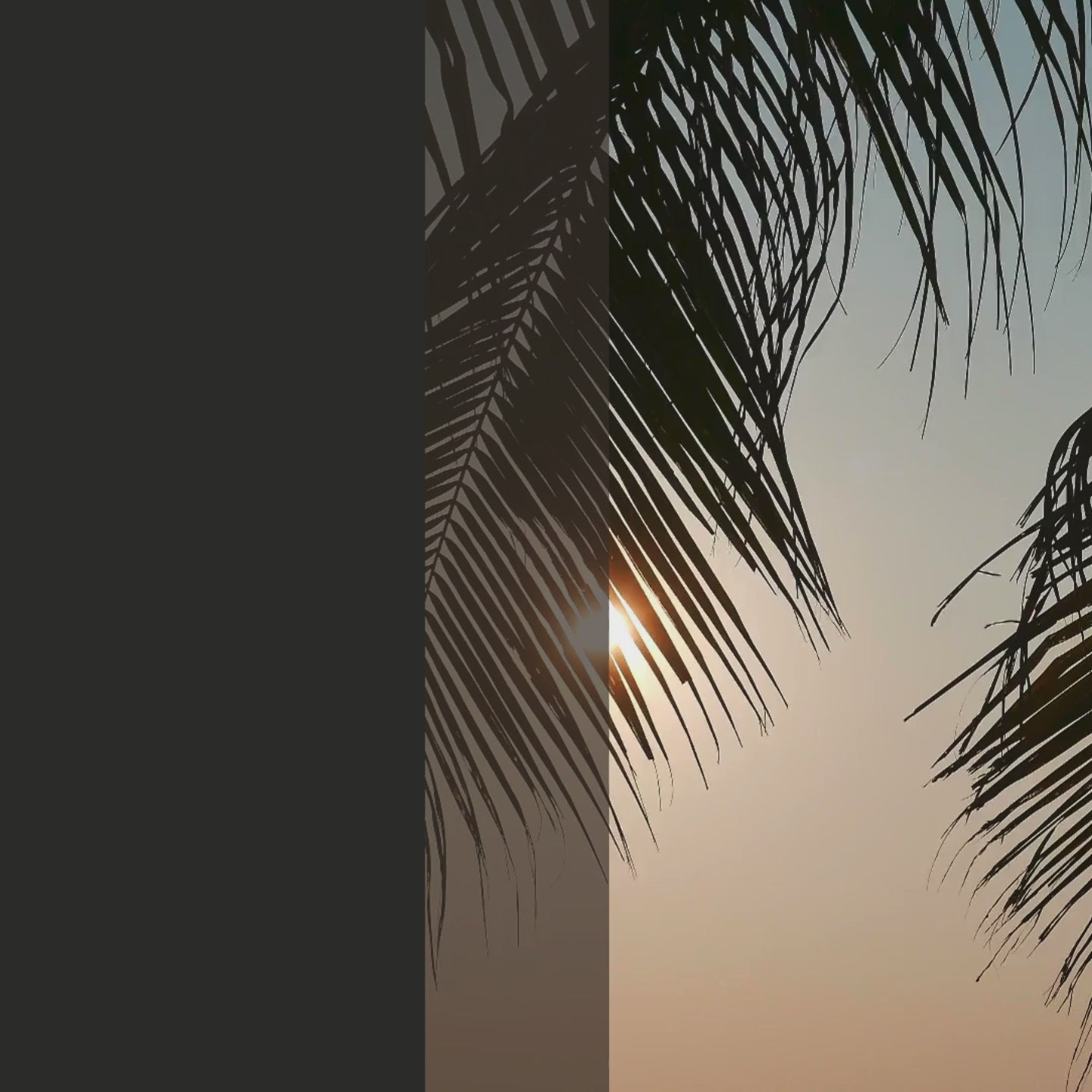 Foaming shower gel - Vanilla - 200ml